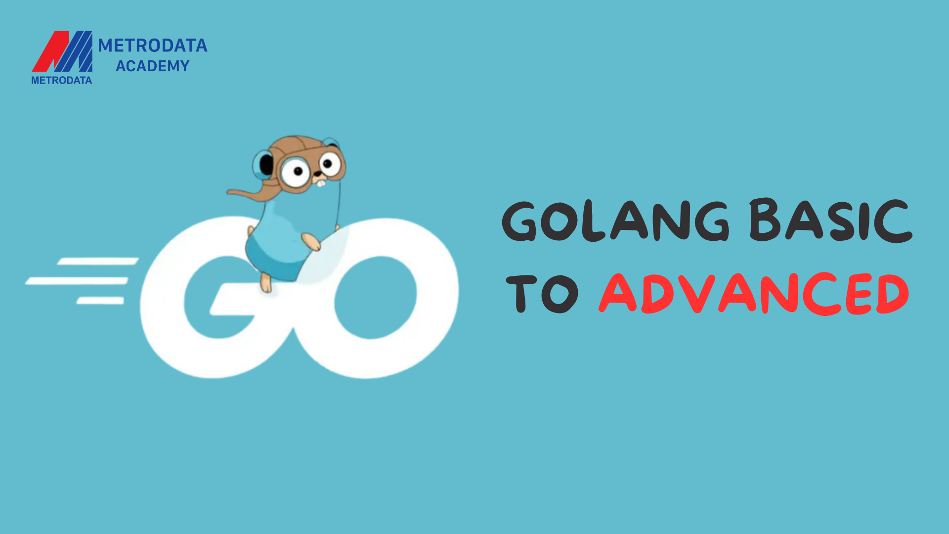 Golang